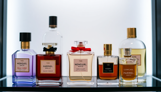 Discount Designer Perfumes by Fragrance Family: A Shopper’s Route to Affordable Finds at PerfumeOutlet.com