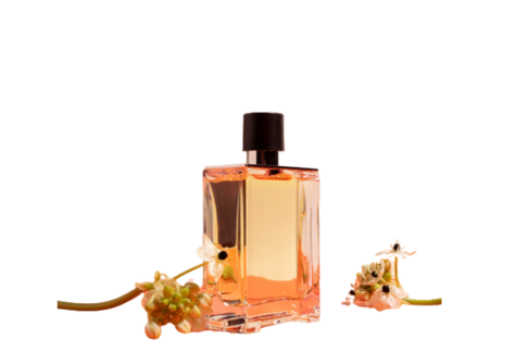 Best Perfumes for Women: 20 Scents That Linger & Impress