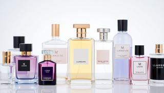 The Best Fragrance Outlet for 2025: Discover Authentic Perfumes from Giorgio Armani, Dolce & Gabbana, and More at PerfumeOutlet.com