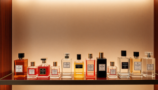Elevate Your Fragrance Knowledge: Expert Tips & Trends at PerfumeOutlet.com for 2026