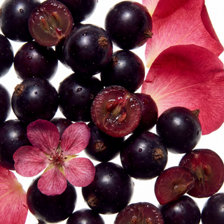 Rose & Black Currant Eau de Parfum