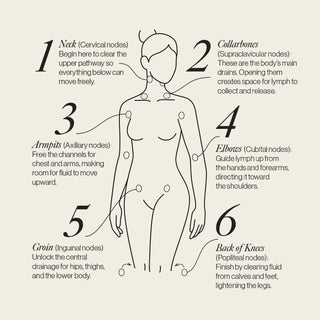 Lymphatic Drainage Dots