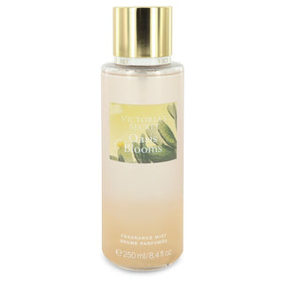 Victoria's Secret Oasis Blooms by Victoria's Secret Fragrance Mist Spray 8.4 oz for Women - PerfumeOutlet.com